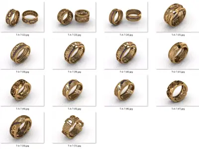 alans ring 16 pieces drawing 3d rihone drawing ring rings 3D print model