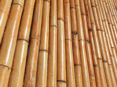 Ultra realistic Bamboo Fence 3D model