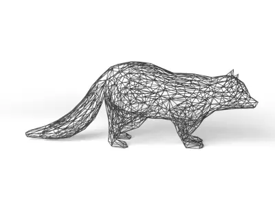 Raccoon Wireframe Low-poly 3D model