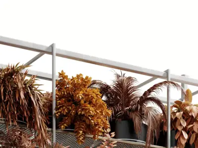 Hanging dry plants - Rectangle pot - indoor plant set 638 3D model