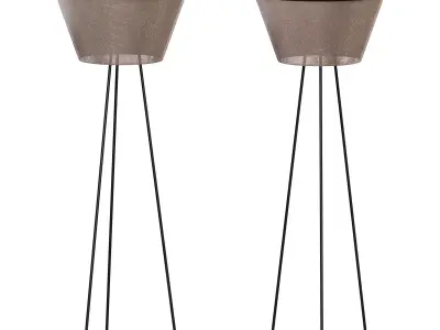 Darling By DitreiItalia 3D model