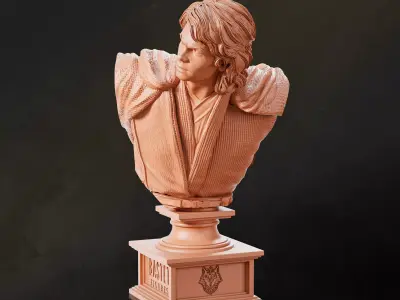 Anakin Bust I Star Wars 3D print model