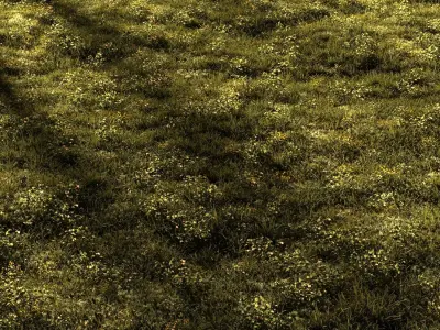 Forest grass 2 3D model