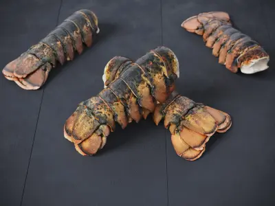 Atlantic Lobster Tails 8 Models