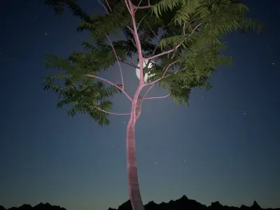 Japanese Walnut Tree Free 3D model