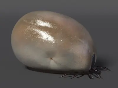  Parasites Rigged Collection 2 for Maya 