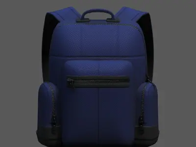 Backpack bag baggage Color 3d low poly Low-poly  Low-poly 3D model 7