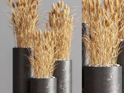 Indoor Plant Set 73 3D model