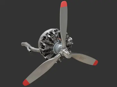  Preserved and Worn Vintage Radial Engines 