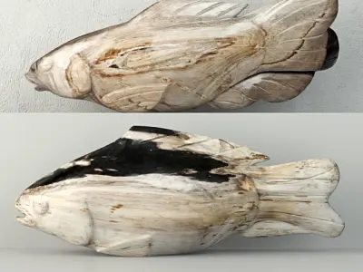 Hand-Carved Petrified Wood Kois Collection 3D Model Pack
