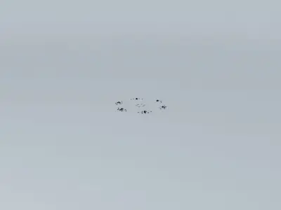 City Grid with no stop lights Free 3D model