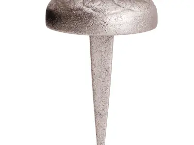 Wrought Iron Nails 3D model