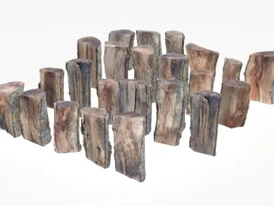 Wood Scan Pack Low-poly 3D model