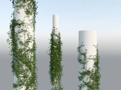 Realistic Climbing Ivy Collection 3D Model Pack