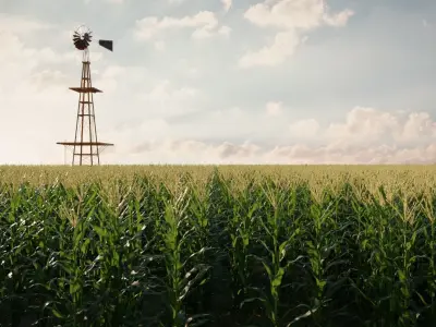 Cornfield 3d Scene 3D model