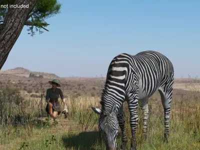  Explorer and Zebra Fur 