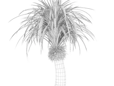 Small Palm Tree 3D model