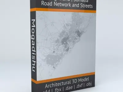 Mogadishu Road Network and Streets 3D model