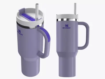 Stanley Cup 08 3D model