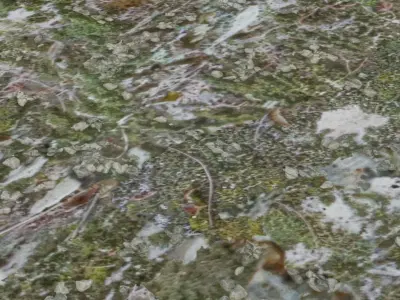 Moss Rock 3D model