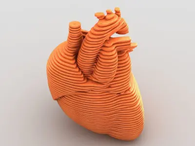 Parametric Human Heart Models 3D model