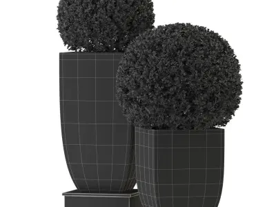 Plants collection 328 3D model