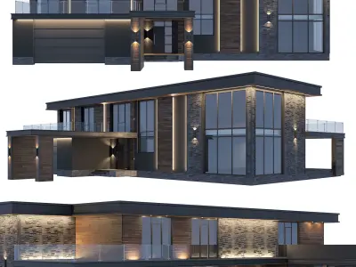 House in the Wright style  3D model