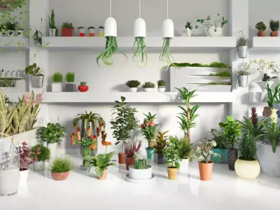 Archmodels vol 141 - high quality indoor plants 3D model