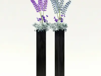 Flowerbeds in black pots 3D model