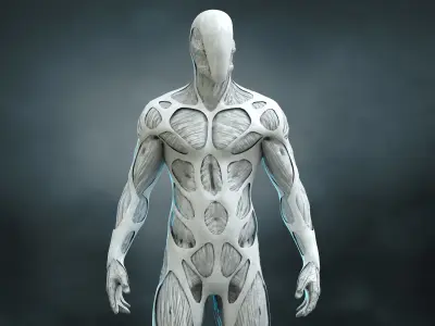 Drone Host Westworld Low-poly 3D model