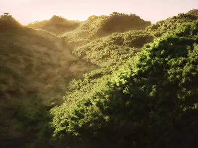 Wide Forest Scene 3D model