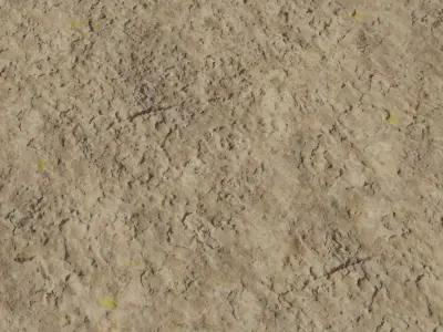 Realistic Dry Crusty Desert Soil Ground Texture Texture