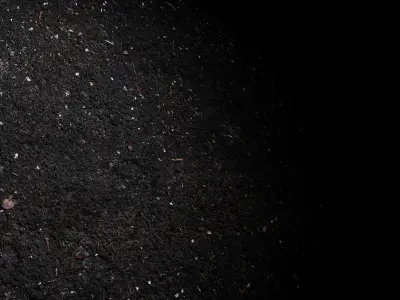 Scanned  Seamless Soil Mud PBR Textures Texture