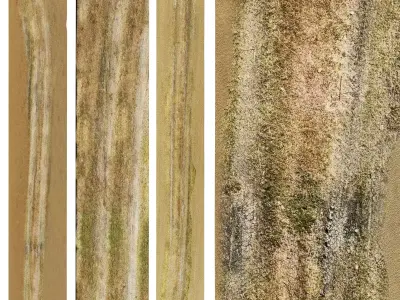 Dirt field road 3D model