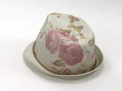 Summer Hat 3D model