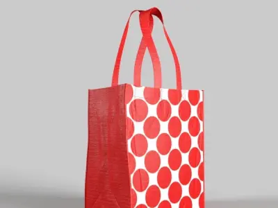 Reusable Bag 3D model
