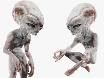 Gray Alien Blender Low-poly 3D model