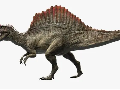  Spinosaurus Rigged 3D 