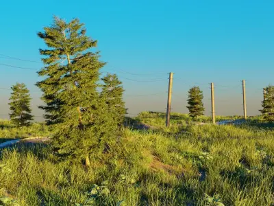 Field road 3D model