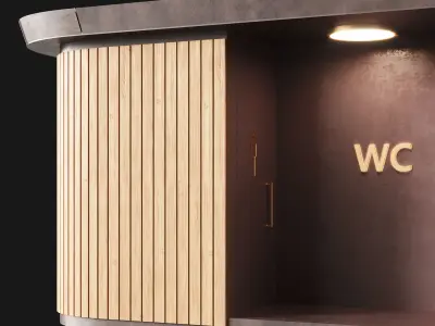 Public toilet 3 3D model