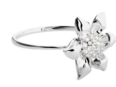 Ring - 12 3D print model