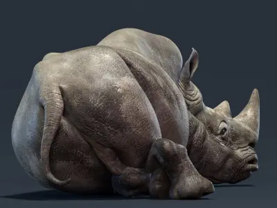  Rhino Family Animated 