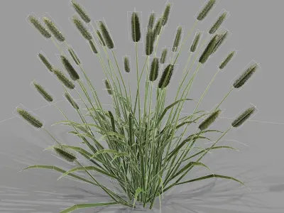 Shrub 2 tall grass Low-poly 3D model