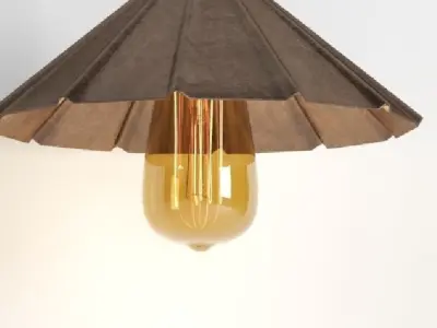 Hanging lamp LOFT HOUSE P-79 3D model
