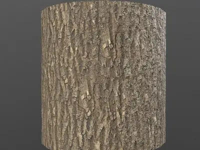 Tree Material Texture