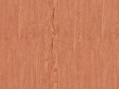 Natural Light Wood Material Texture