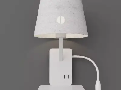 Frances Wall Light 3D model