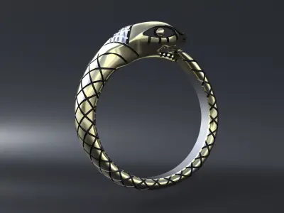 Uroboros Ring CNC model  or  3D print model