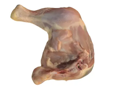 Chicken Leg Free 3D model