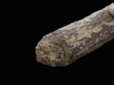 Tree Debris Branch Low-poly 3D model